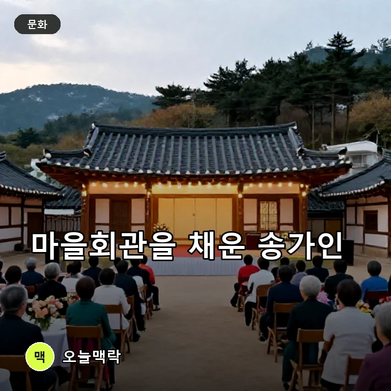 송가인, 제철리 마을회관 경로잔치에서 공연으로 드러난 존재감 주제를 표현한 AI 생성 편집 이미지