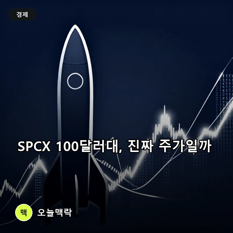스페이스X ‘SPCX 100달러대’ 전망 거론…첫 보고서 공개는 미정 주제를 표현한 편집 이미지