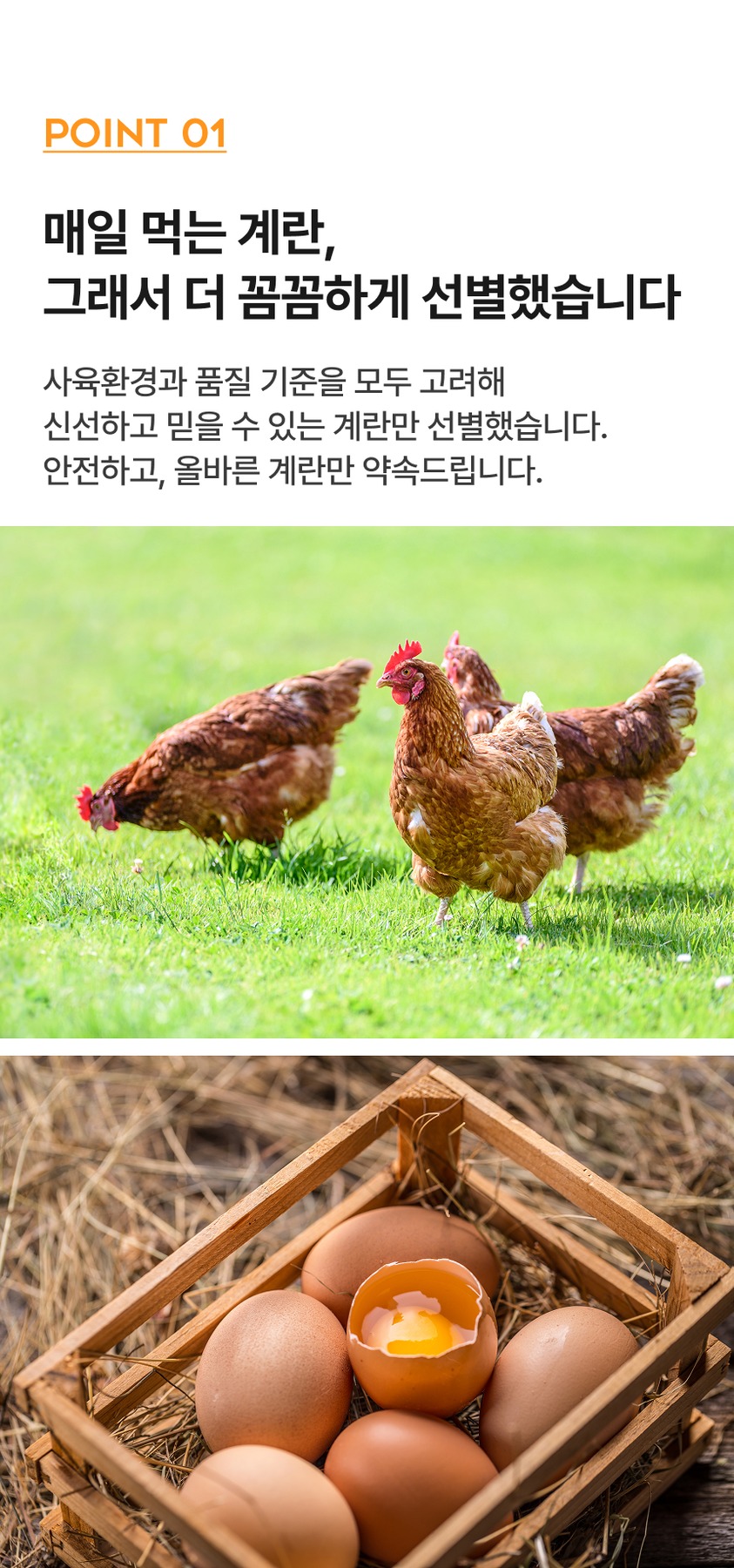 난각번호 1번 유정란 계란 무항생제 달걀 2번 제품 이미지